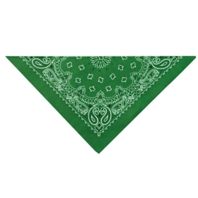 TP Paisley Bandana Dk Grn