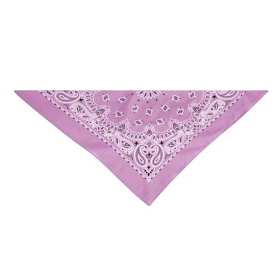 TP Paisley Bandana Pur