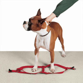 CC Nylon 2 Step Harness 15-25In Red