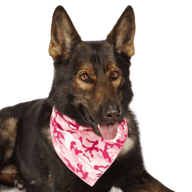 AR Camo Bandana Pnk