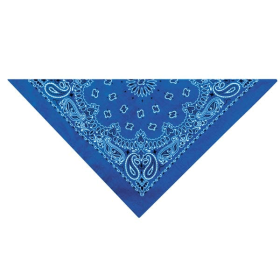 TP Paisley Bandana Dk Blu